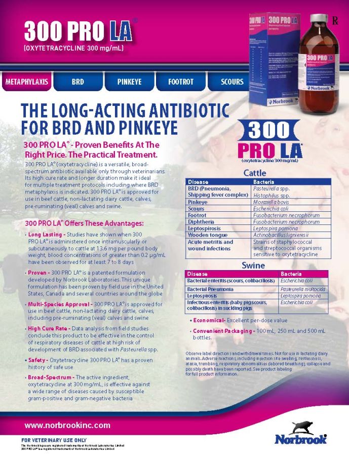 300 Pro LA (Norbrook)