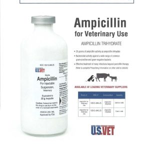 Ampicillin (US Vet)