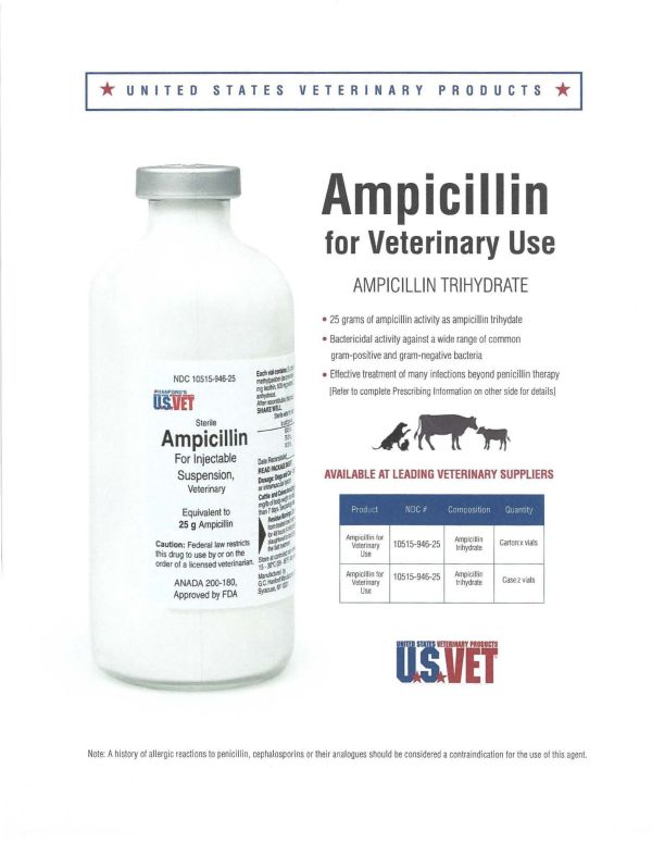 Ampicillin (US Vet)