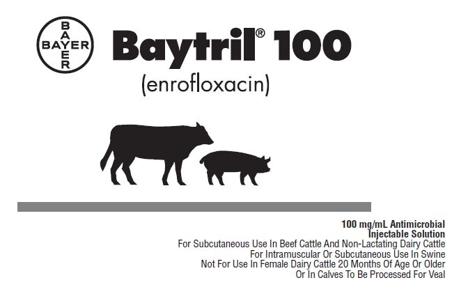 Baytril 100 (Elanco)