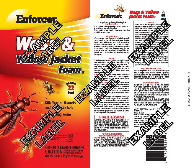 Enforcer Wasp and Yellow Jacket Foam (Zep Commercial Sales & Service)