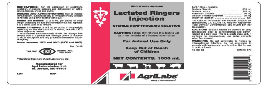 Lactated Ringers Injection (AgriLabs)